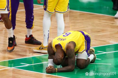 阿里纳斯：韦德本该有MVP&更多得分王但他为詹姆斯牺牲了数据