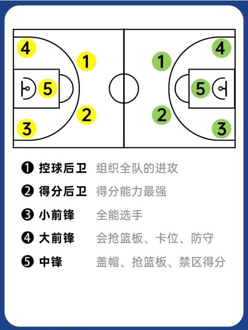 nba位置分布，nba位置图